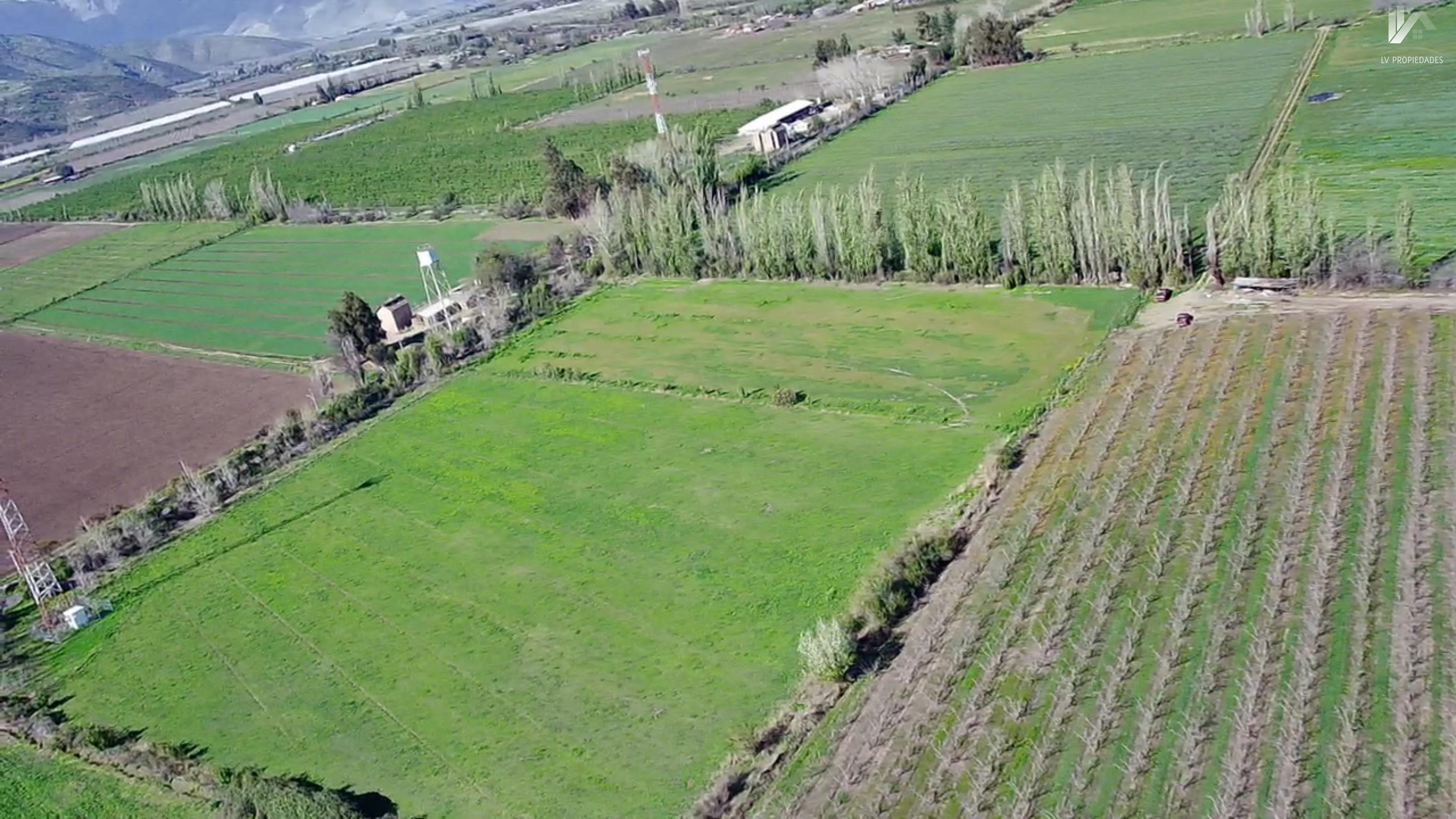 SE VENDE TERRENO AGRICOLA EN PUTAENDO